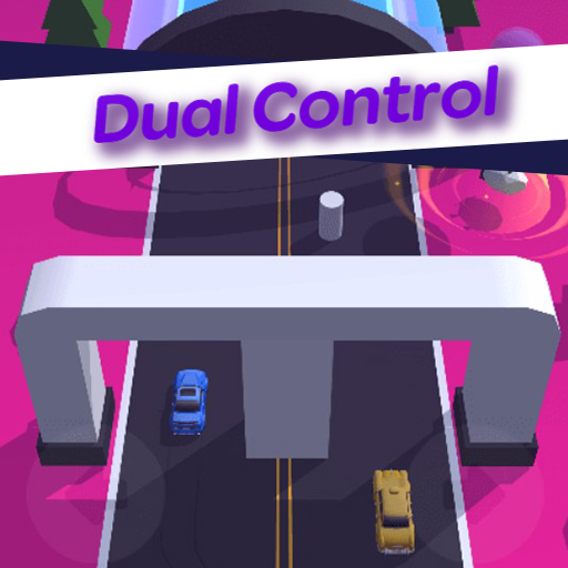 Dual Control 3D