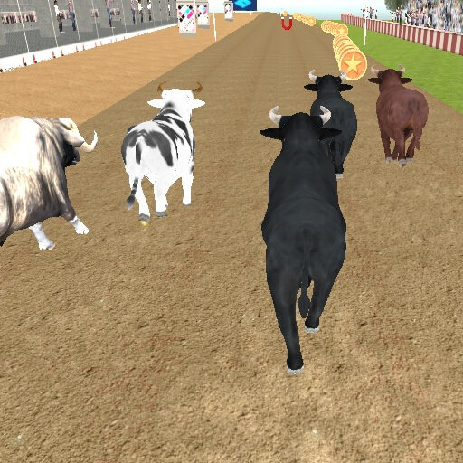 Bull Racing